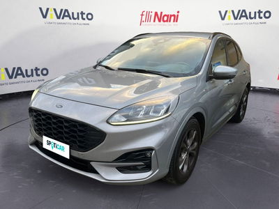 Ford Kuga 1.5 EcoBlue 120 CV 2WD ST-Line del 2022 usata a Massa