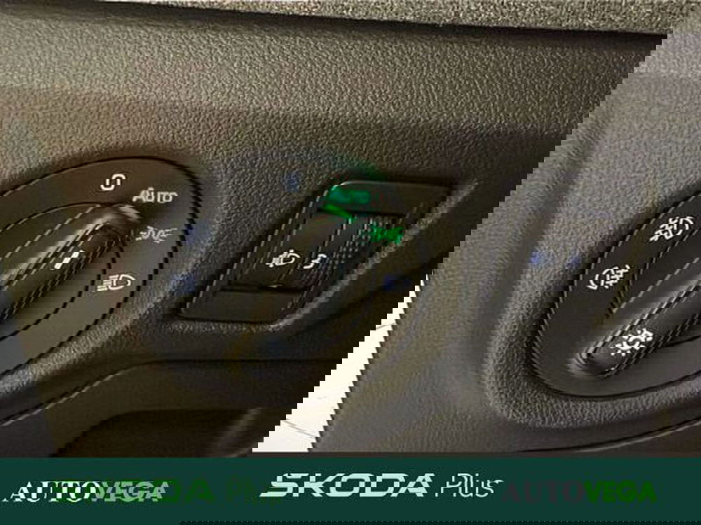 Skoda Kamiq usata a Vicenza (15)