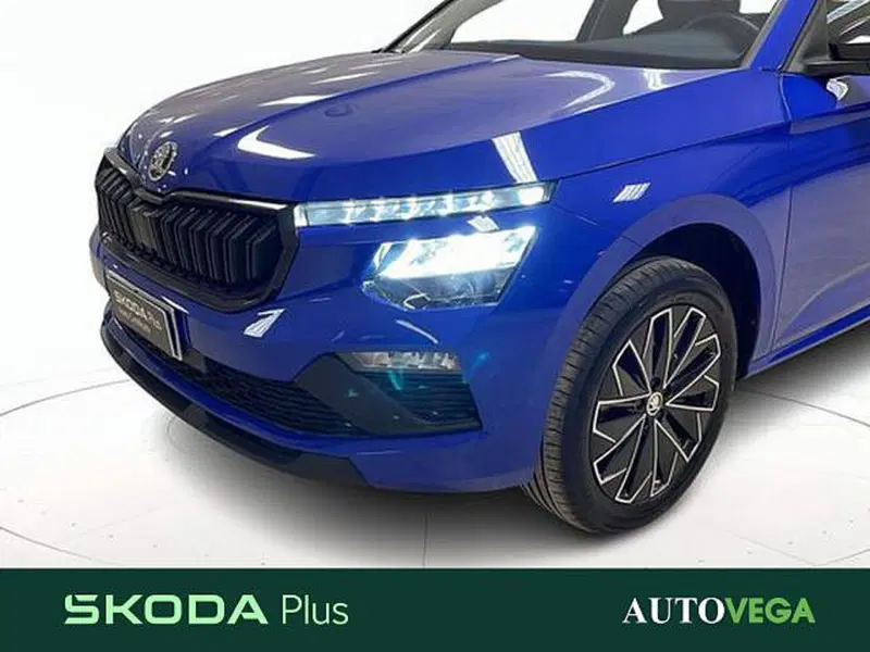 Skoda Kamiq usata a Vicenza (19)