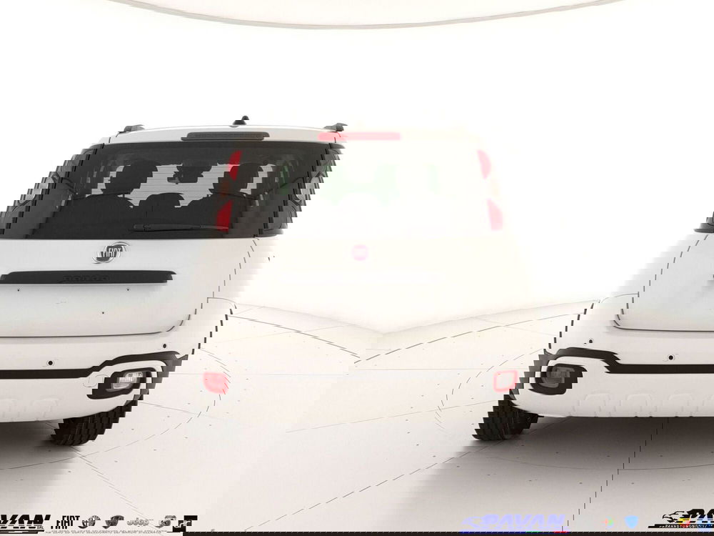 Fiat Panda Cross nuova a Padova (4)