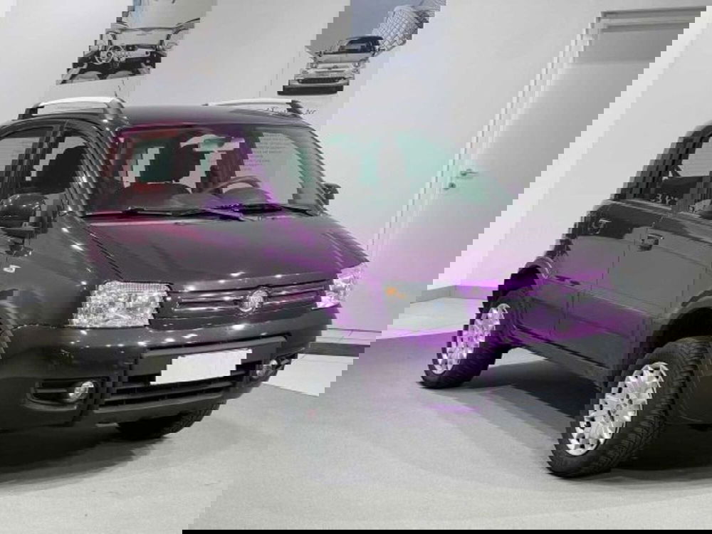 Fiat Panda usata a Sondrio (6)