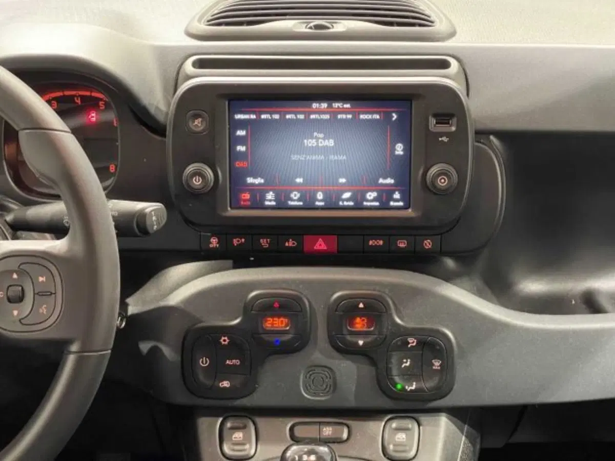 Fiat Panda Cross usata a Sondrio (14)