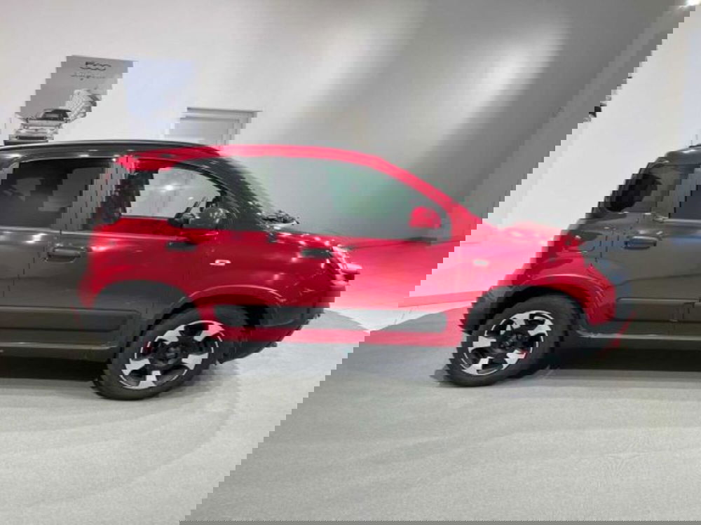 Fiat Panda Cross usata a Sondrio (2)