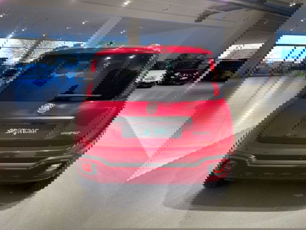 Fiat Panda Cross usata a Sondrio (4)