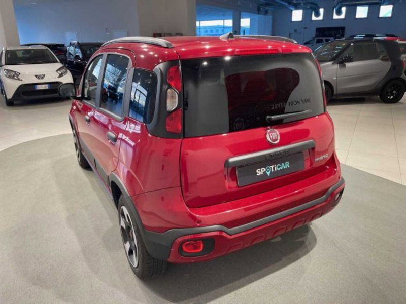 Fiat Panda Cross usata a Sondrio (5)