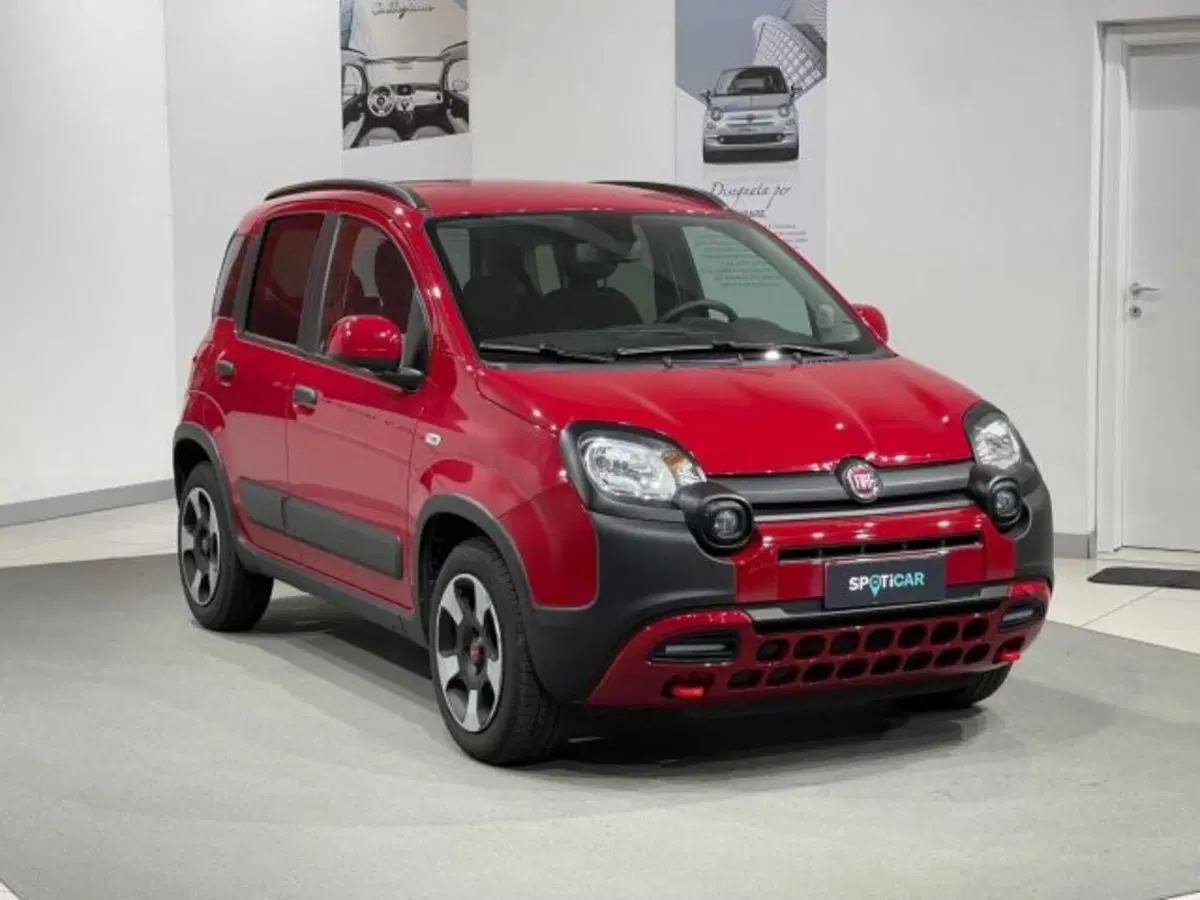 Fiat Panda Cross usata a Sondrio (7)
