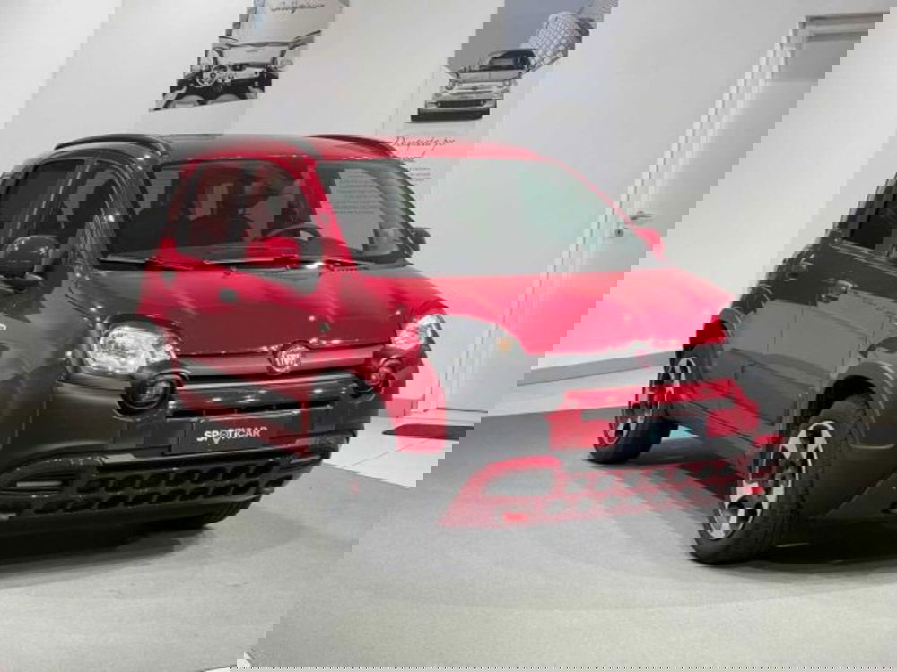 Fiat Panda Cross usata a Sondrio (7)