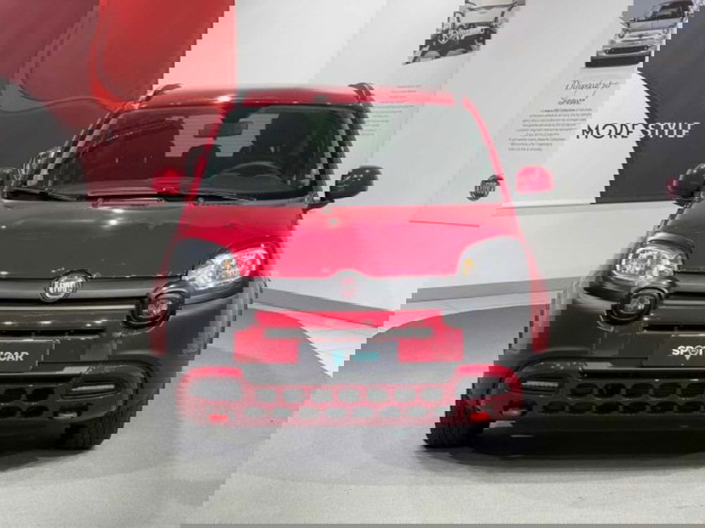 Fiat Panda Cross usata a Sondrio (8)