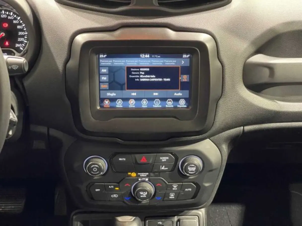 Jeep Renegade usata a Sondrio (14)