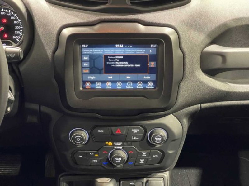 Jeep Renegade usata a Sondrio (14)