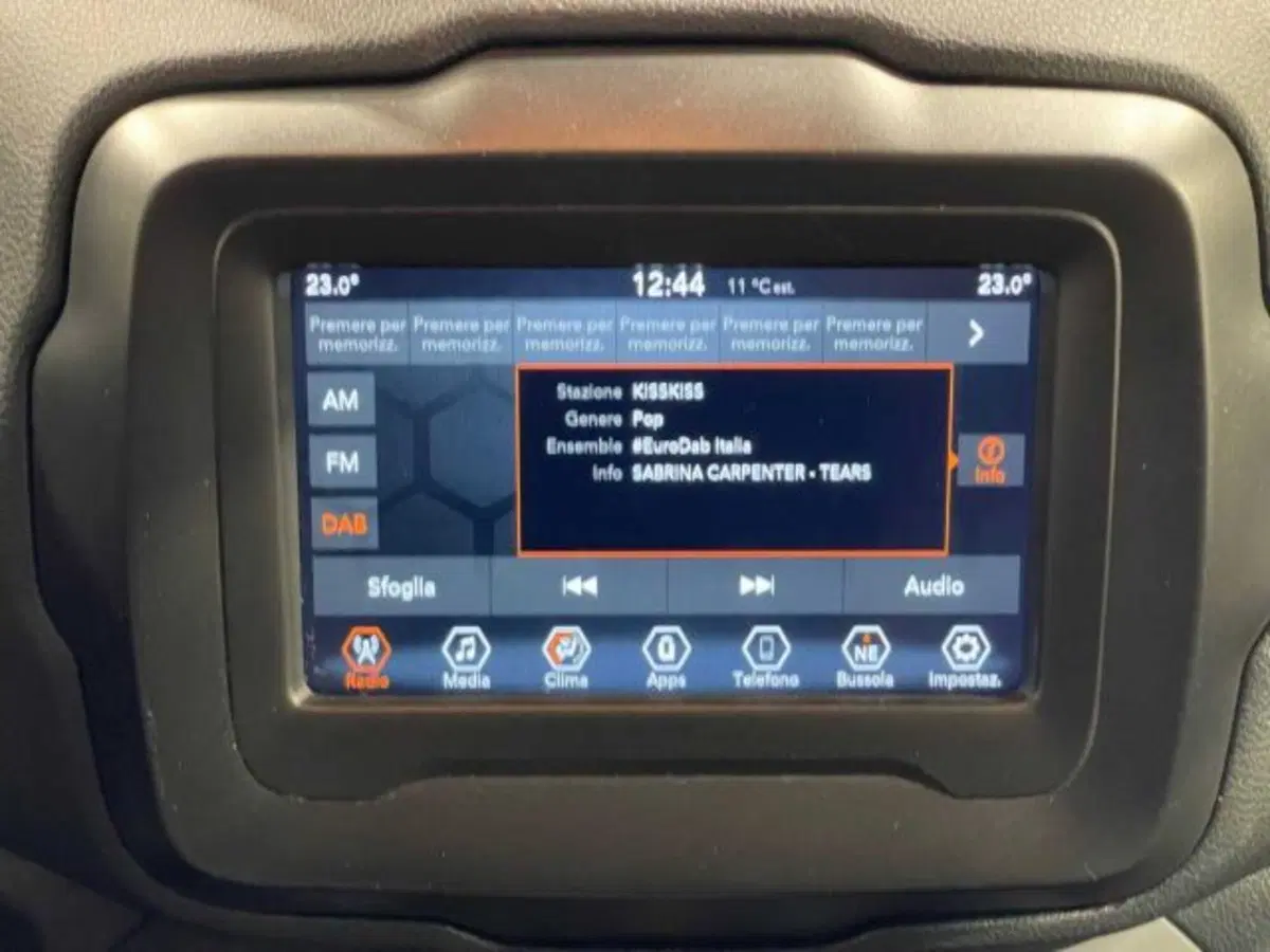 Jeep Renegade usata a Sondrio (17)