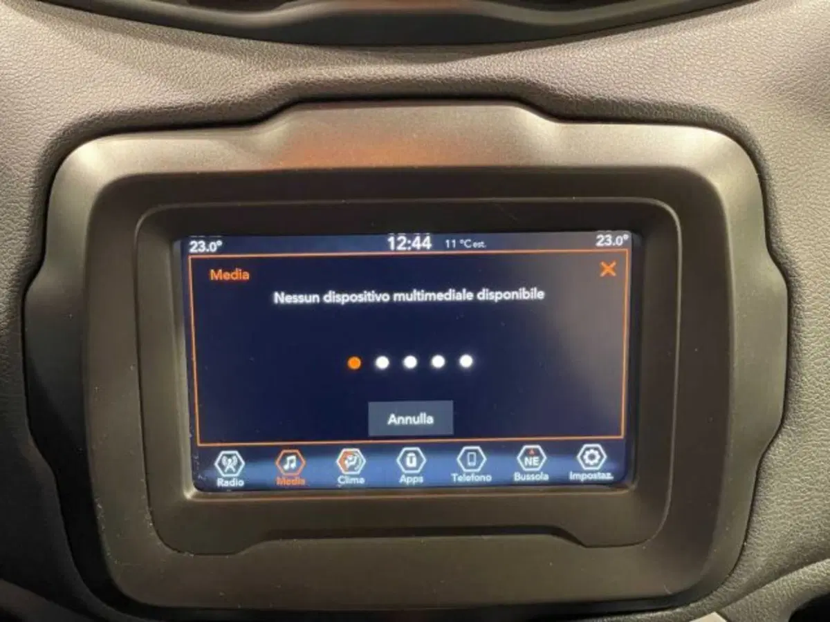 Jeep Renegade usata a Sondrio (19)