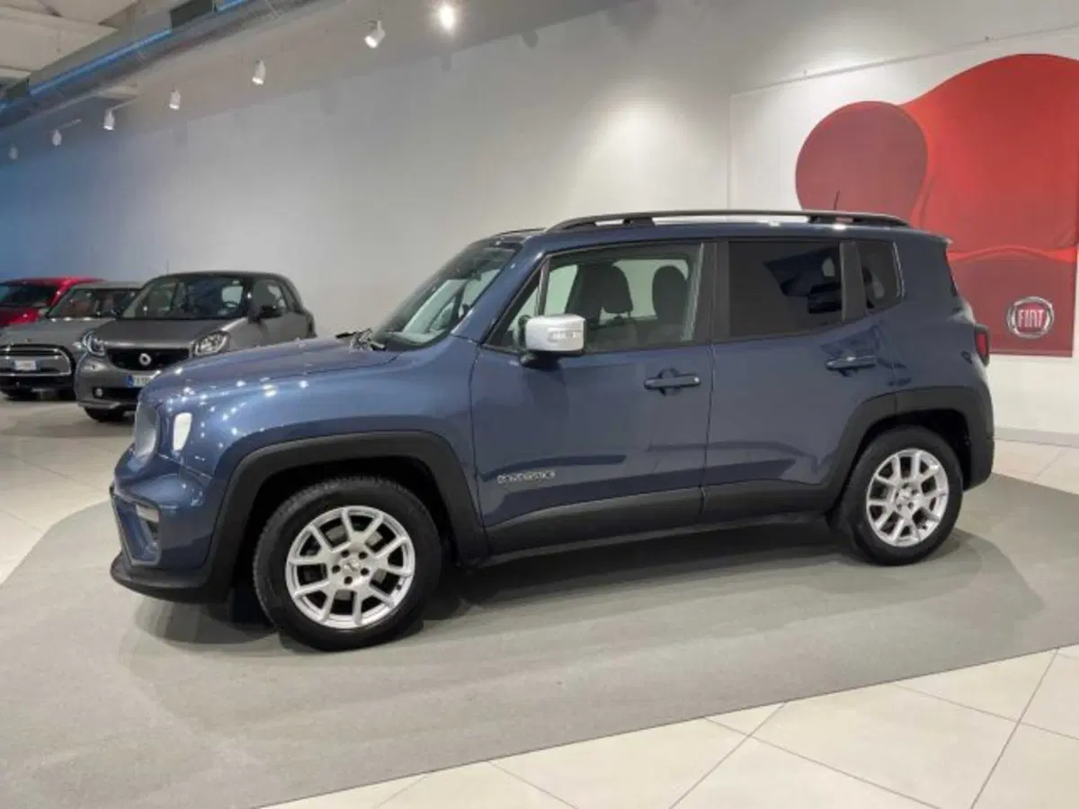 Jeep Renegade usata a Sondrio (2)
