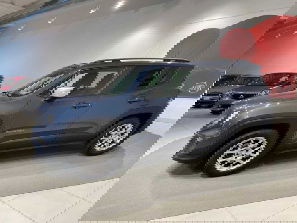 Jeep Renegade usata a Sondrio (2)