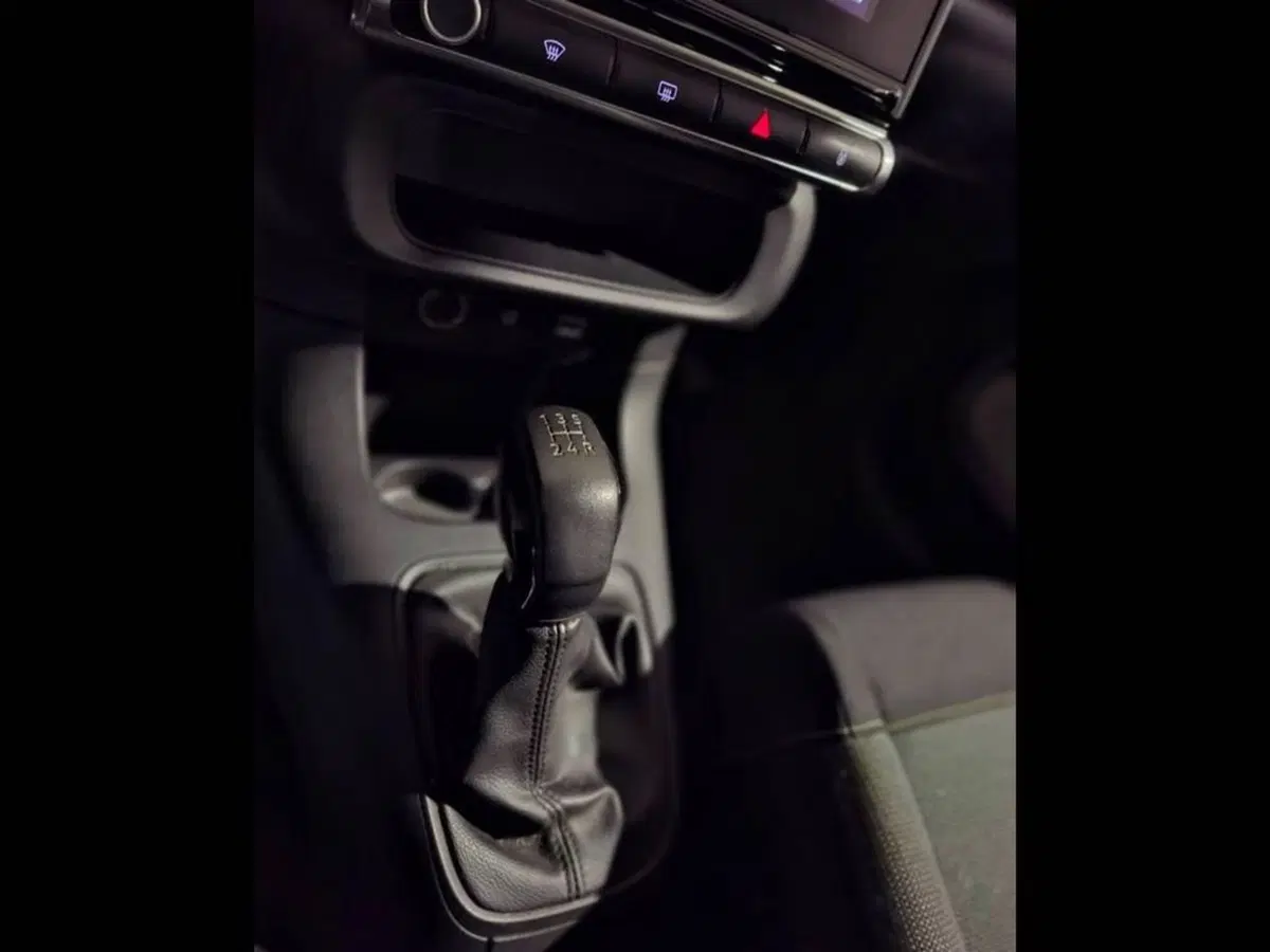 Citroen C3 usata a Torino (9)