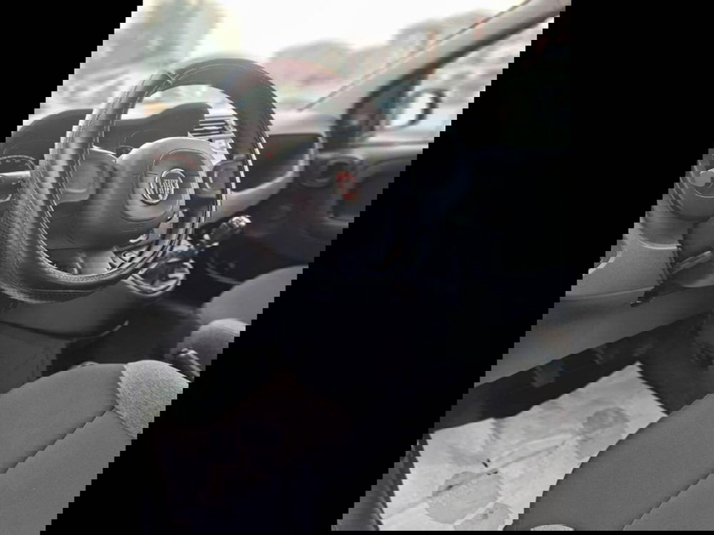 Fiat Panda Cross usata a Torino (11)