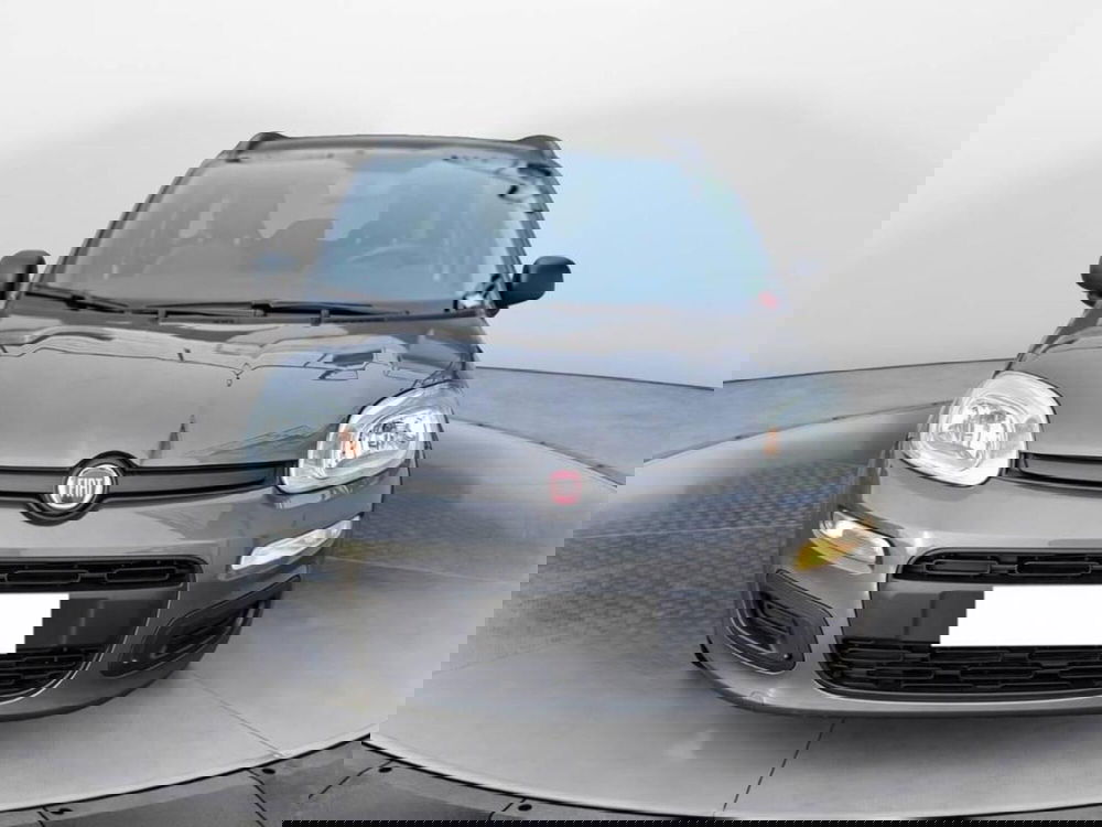 Fiat Panda Cross usata a Torino (2)