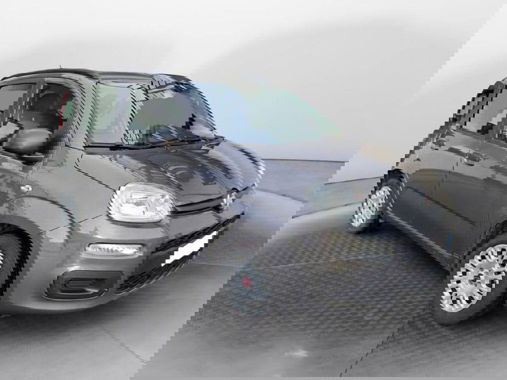 Fiat Panda Cross usata a Torino (3)