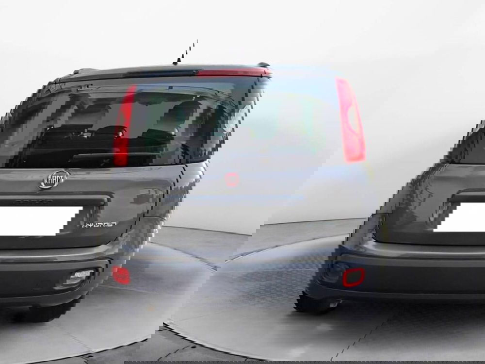 Fiat Panda Cross usata a Torino (5)