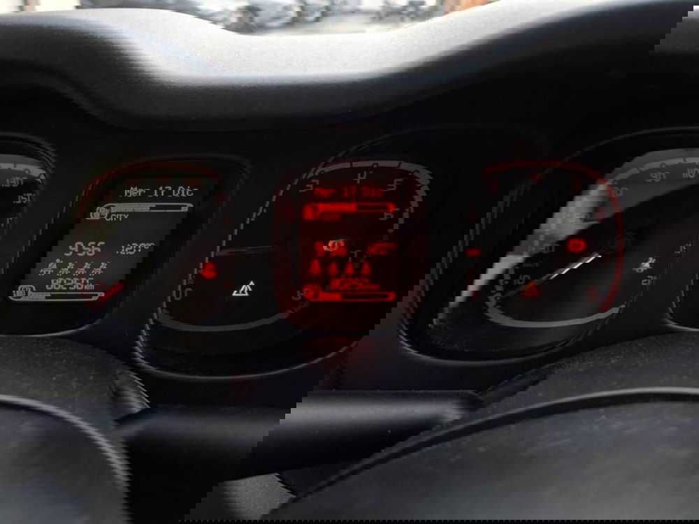 Fiat Panda Cross usata a Torino (7)