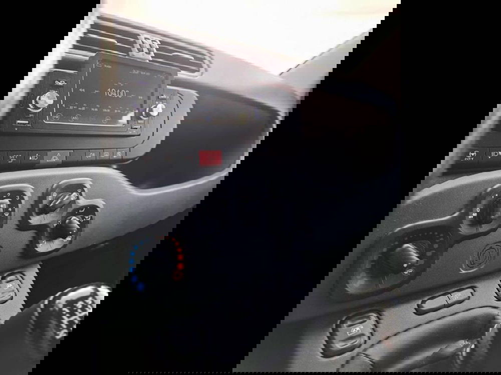 Fiat Panda Cross usata a Torino (8)