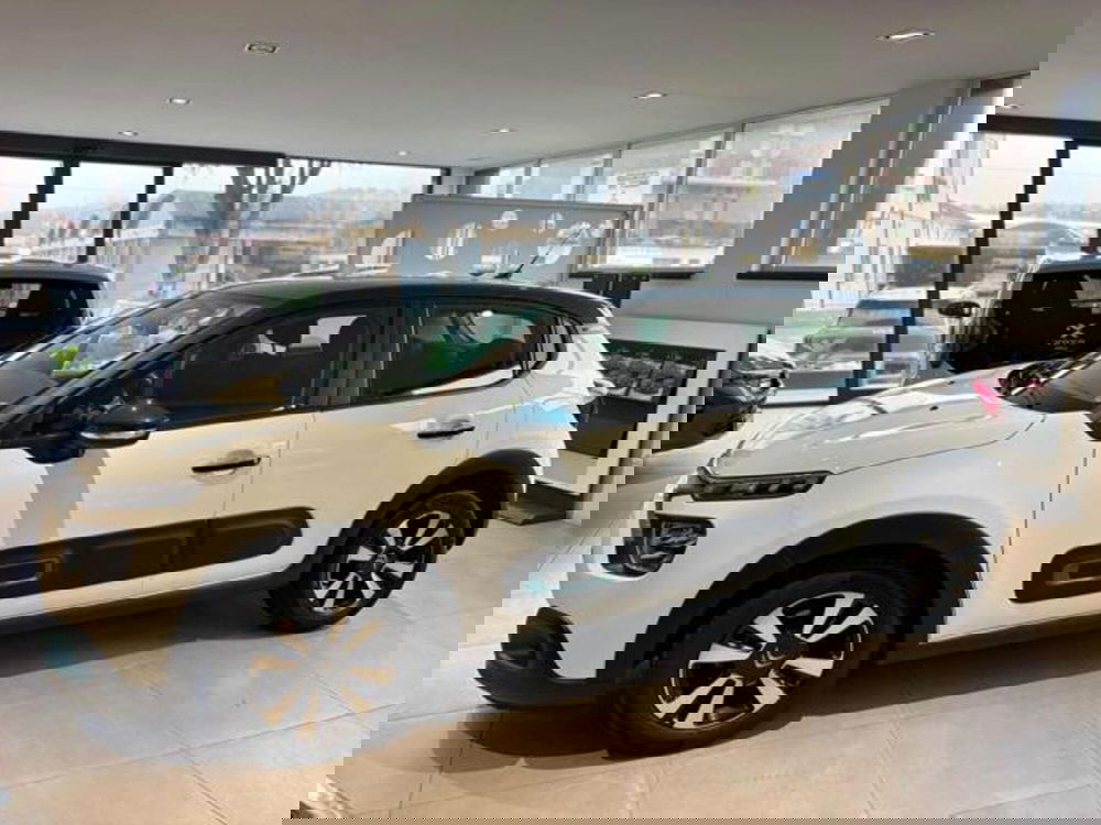 Citroen C3 usata a Pesaro-Urbino (3)