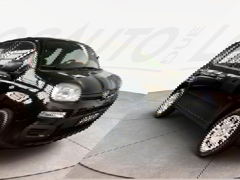 Fiat Pandina nuova a Torino (3)