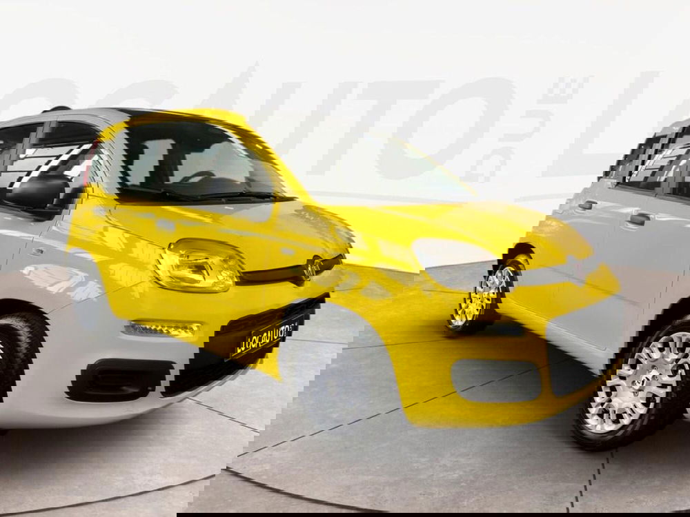 Fiat Pandina nuova a Torino (3)