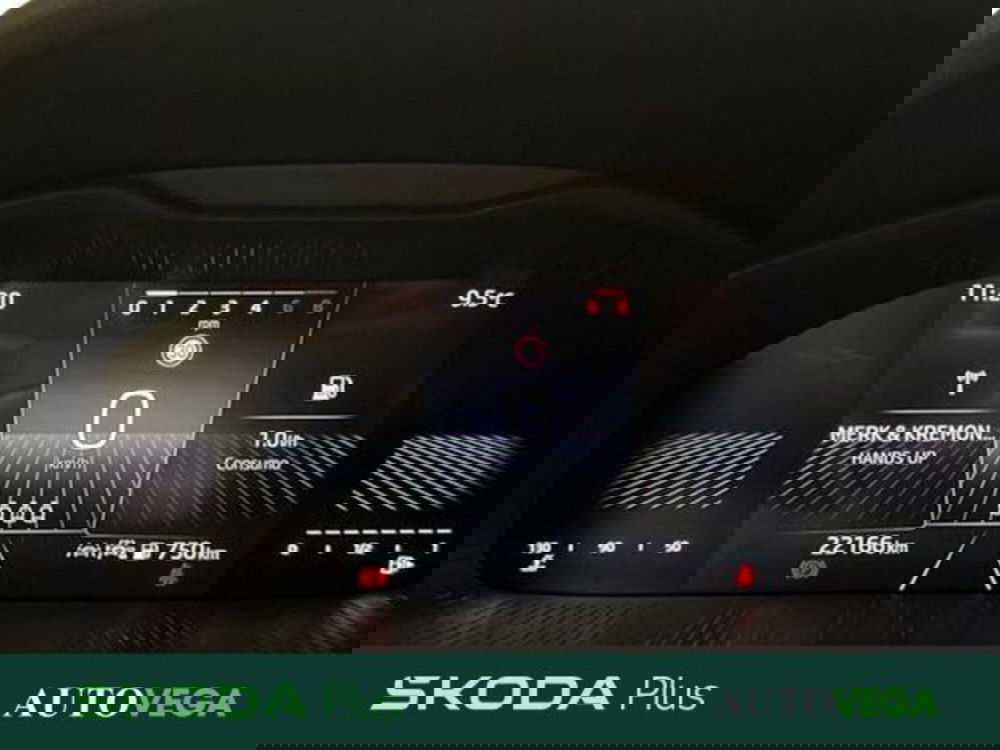 Skoda Kamiq usata a Vicenza (11)