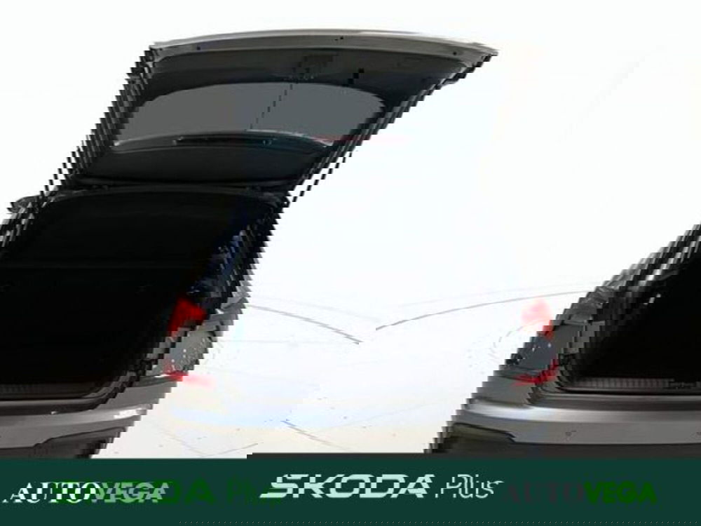 Skoda Kamiq usata a Vicenza (4)