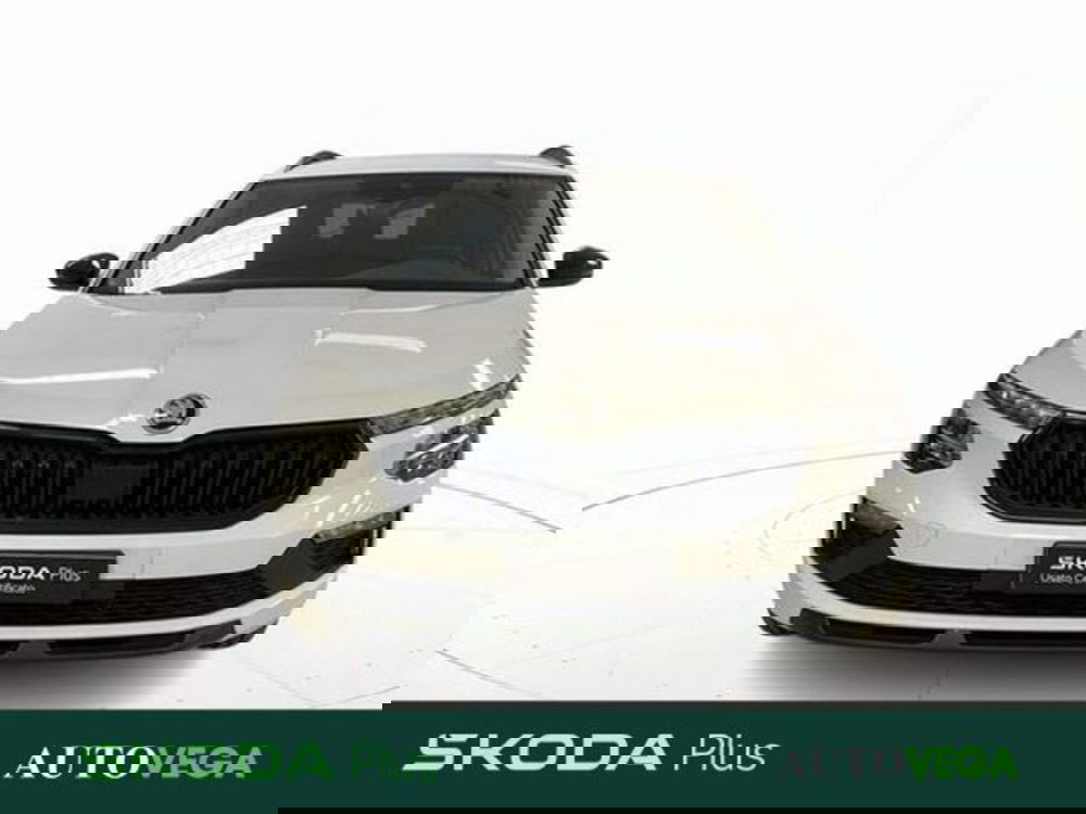 Skoda Kamiq usata a Vicenza (2)