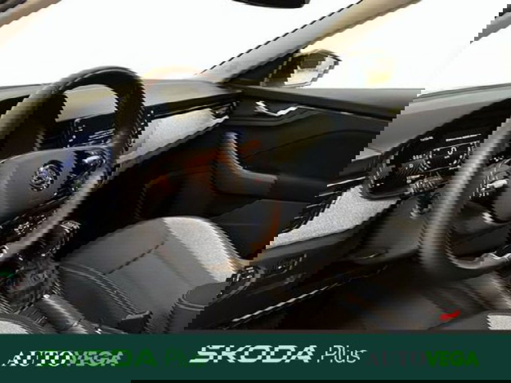 Skoda Kamiq usata a Vicenza (5)