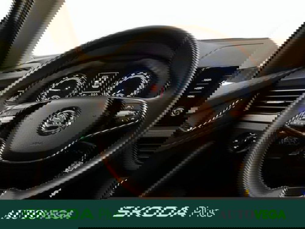 Skoda Kamiq usata a Vicenza (10)