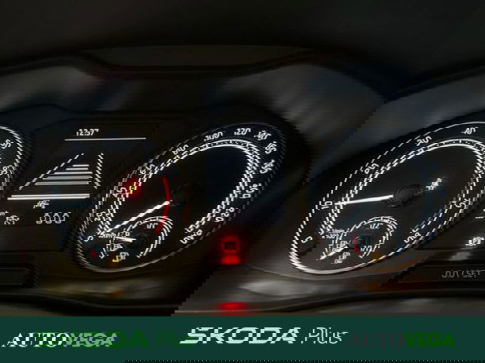 Skoda Kamiq usata a Vicenza (12)