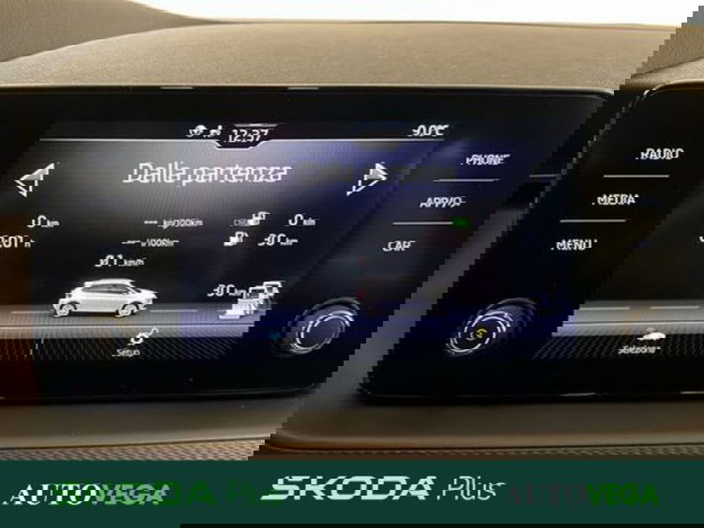 Skoda Kamiq usata a Vicenza (13)