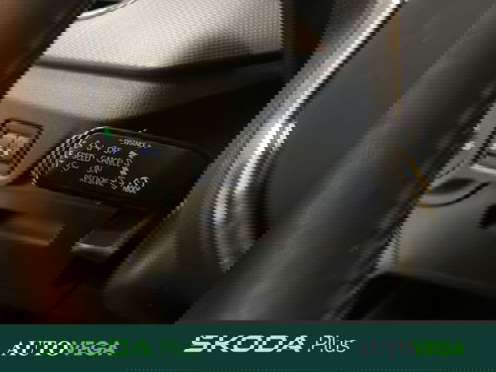 Skoda Kamiq usata a Vicenza (18)