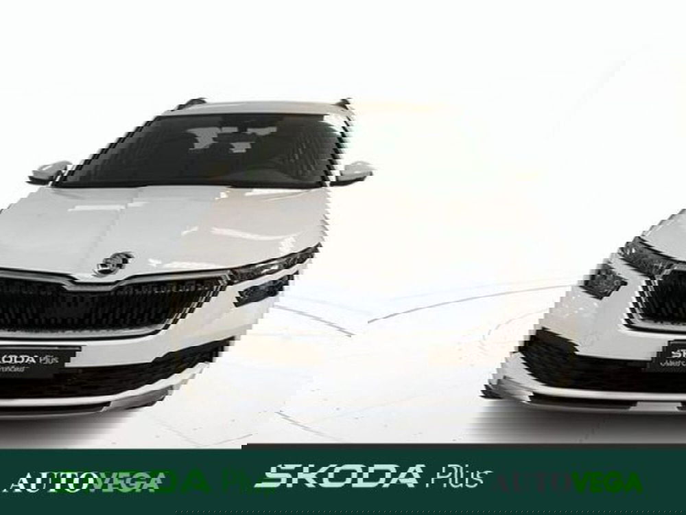 Skoda Kamiq usata a Vicenza (2)