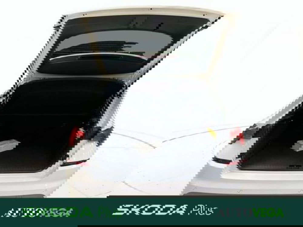 Skoda Kamiq usata a Vicenza (9)