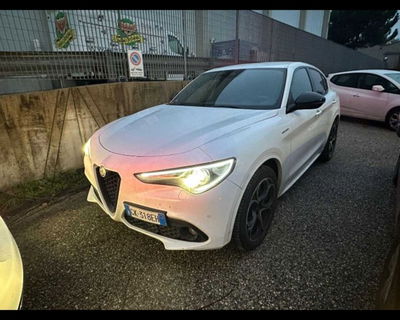Alfa Romeo Stelvio Stelvio 2.2 Turbodiesel 210 CV AT8 Q4 Veloce del 2022 usata a Castenaso