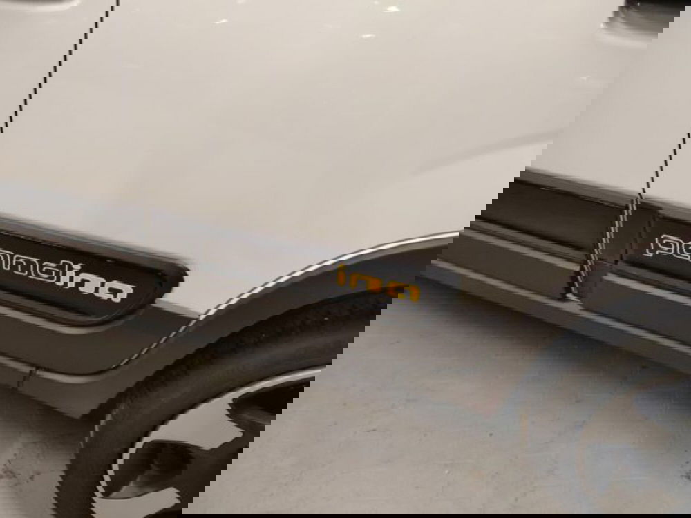 Fiat Panda usata a Forlì-Cesena (10)