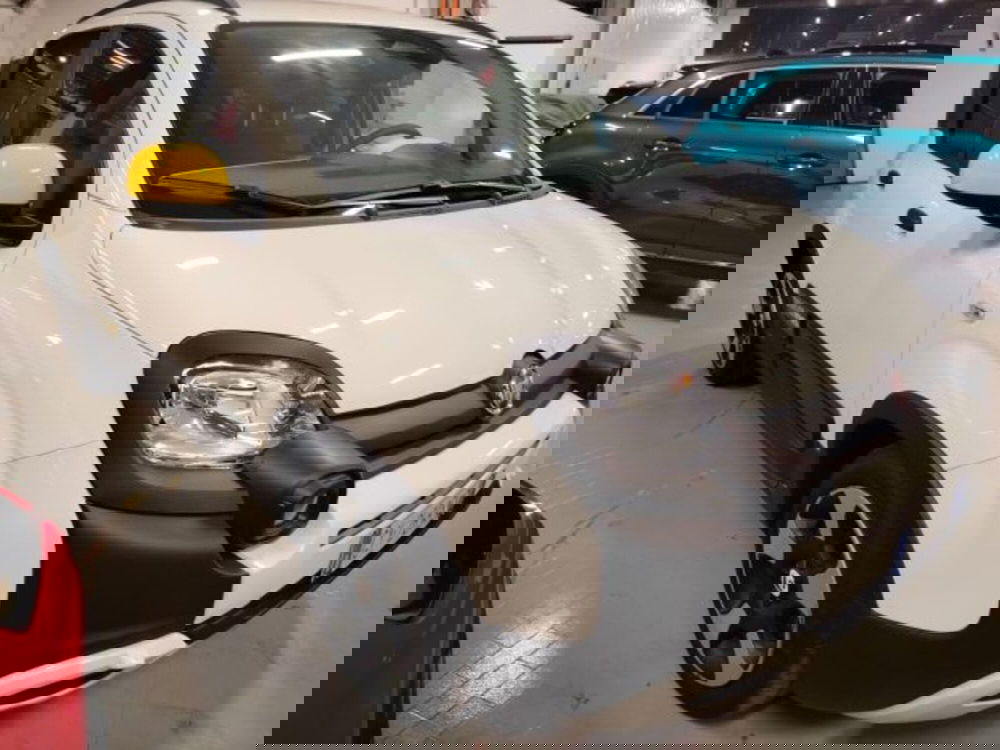 Fiat Panda usata a Forlì-Cesena