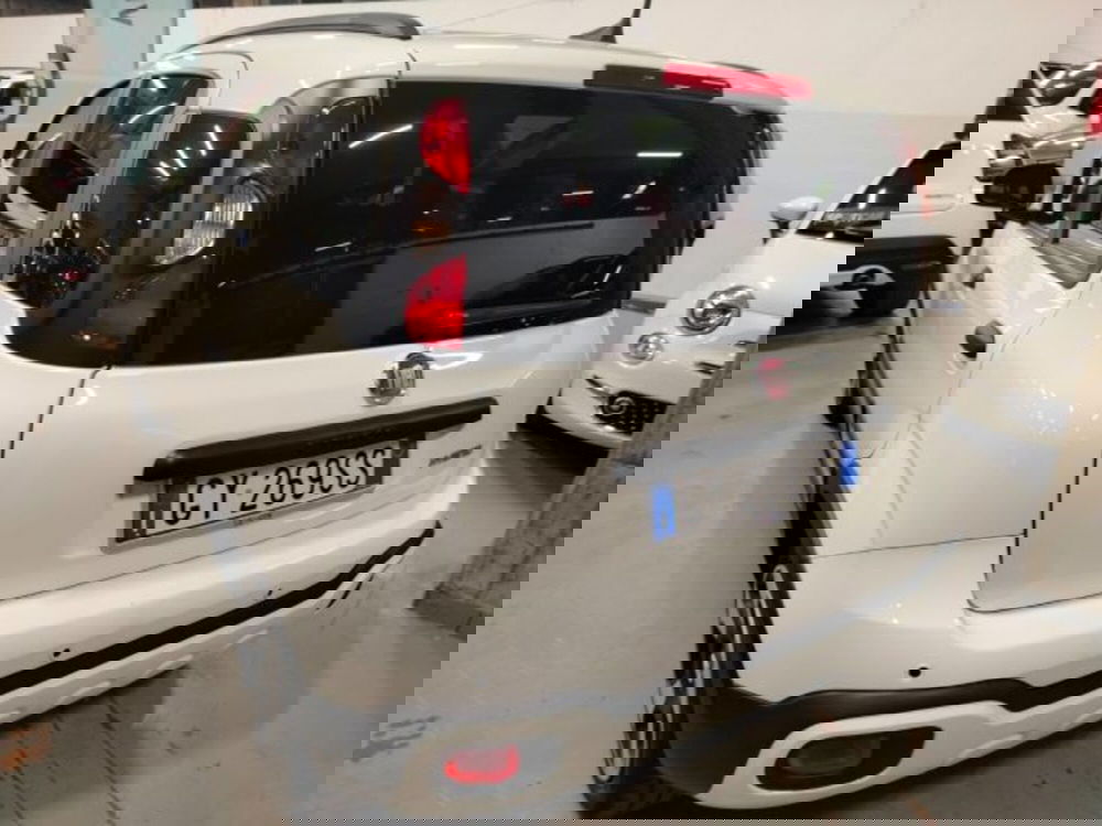 Fiat Panda usata a Forlì-Cesena (6)