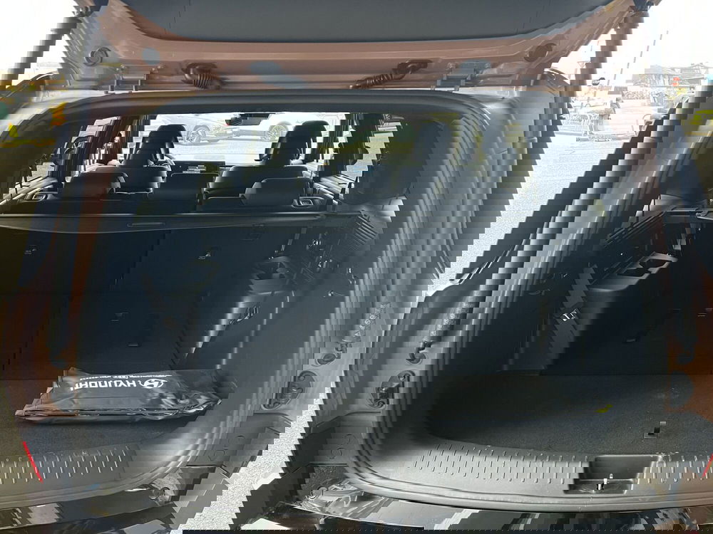 Hyundai Santa Fe usata a Vercelli (7)