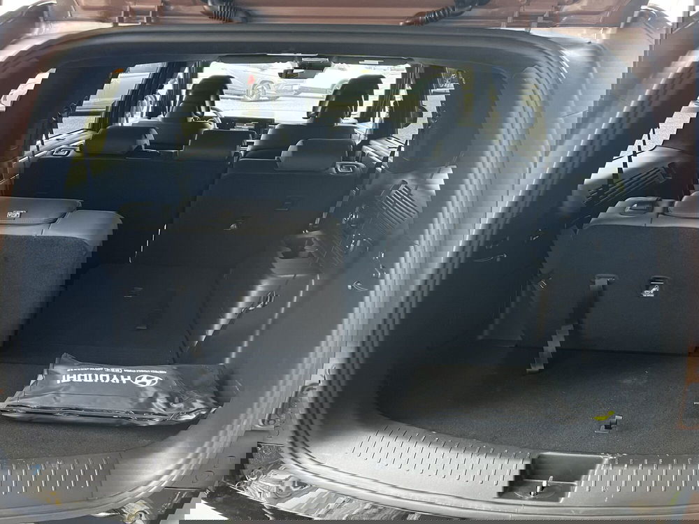 Hyundai Santa Fe usata a Vercelli (9)