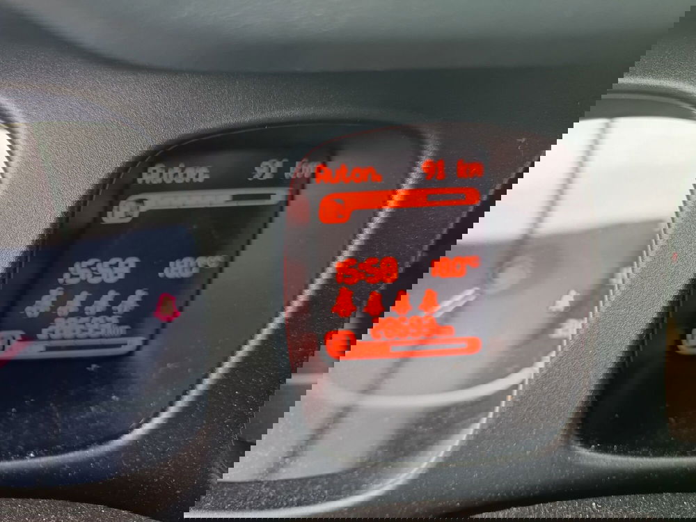 Fiat Panda Cross usata a Alessandria (14)