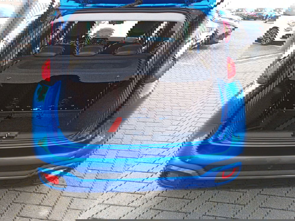 Fiat Panda Cross usata a Alessandria (17)