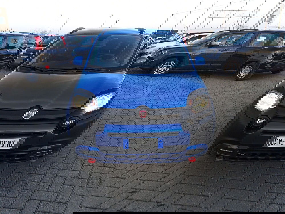 Fiat Panda Cross usata a Alessandria (2)