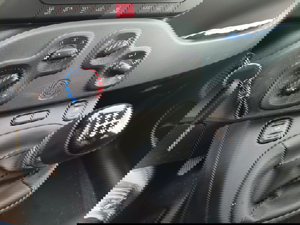 Fiat Panda Cross usata a Alessandria (11)