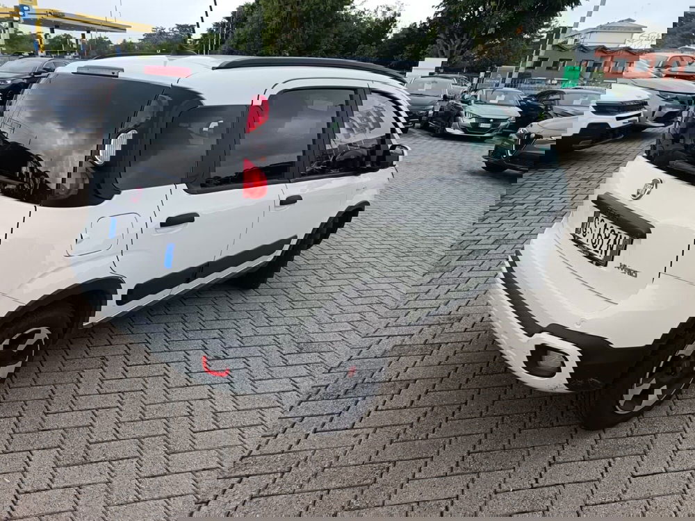 Fiat Panda Cross usata a Alessandria (5)