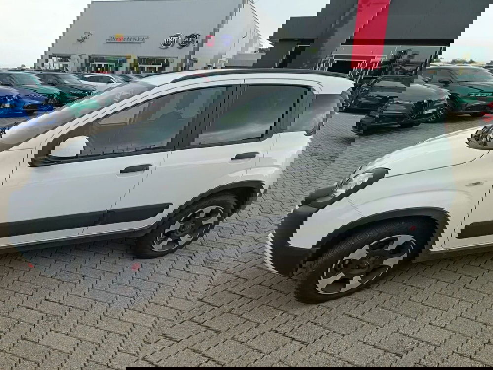 Fiat Panda Cross usata a Alessandria (8)